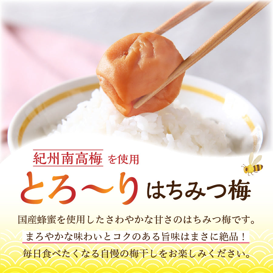 国産はちみつ梅 160g×2袋 – yamato-hachimitu