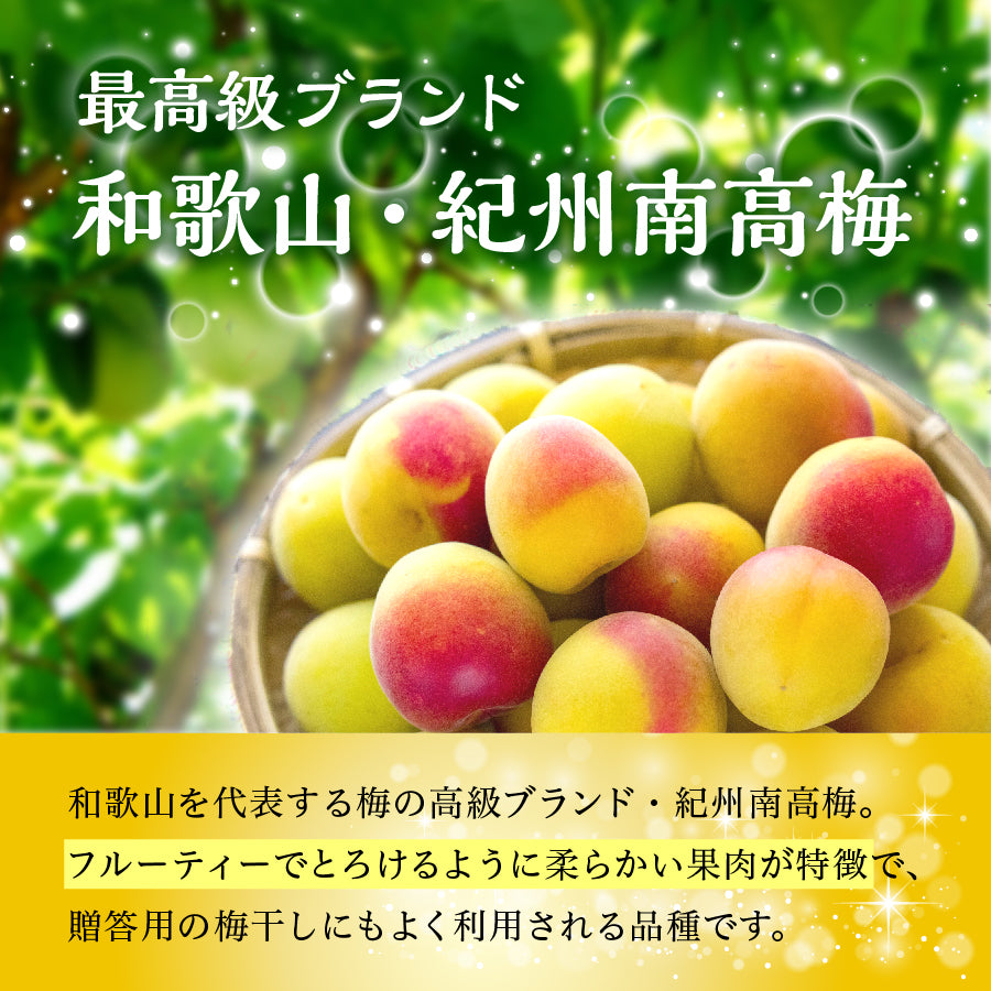 国産はちみつ梅 160g×2袋 – yamato-hachimitu