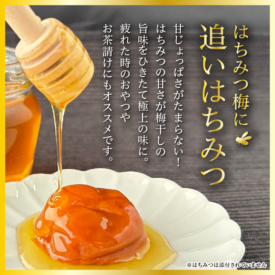 梅庵ミツバチ様 梅庵ミツバチ様 梅庵ミツバチ様