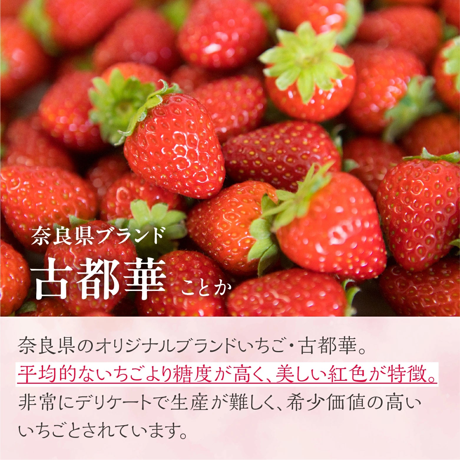 古都シリーズお試し2本セット 300ml – yamato-hachimitu