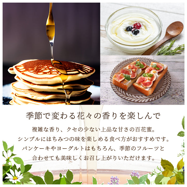 日本蜜蜂   500g2本＋400g2本 梅屋ハネー 純粋はちみつ 500g – にっぽん津々浦々｜本店