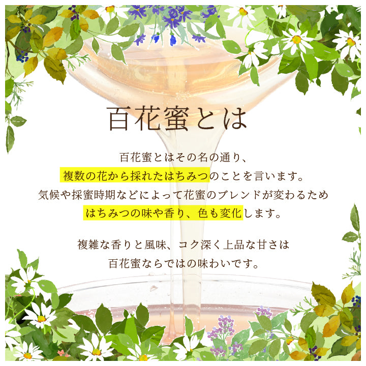 日本蜜蜂   500g2本＋400g2本 楽天市場】【ふるさと納税】日本みつばち 高千穂の純粋蜂蜜 300g×2本