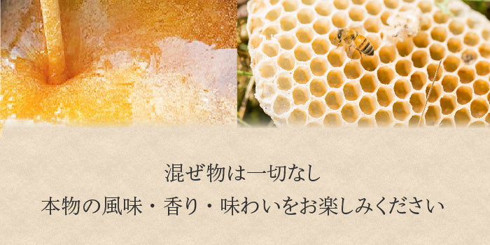 日本蜜蜂   500g2本＋400g2本 楽天市場】【ふるさと納税】日本みつばち 高千穂の純粋蜂蜜 300g×2本